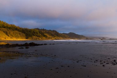 Yumuşak öğleden sonra ışığı yamaçların ve ağaçların bir kısmını aydınlatıyor ve Oregon 'da Hunters Cove olarak bilinen Myers Creek Sahili' nin kuzey kesimindeki ıslak kumda yansıma oluşturuyor.