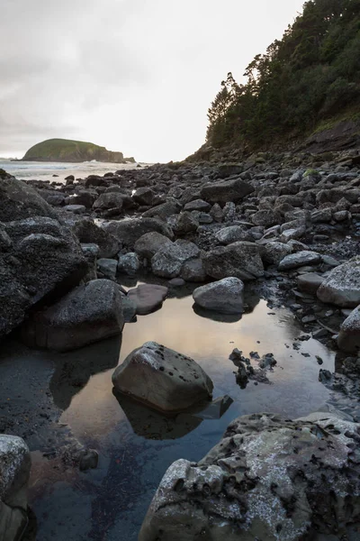 Pomeriggio Lunatico Sulla Costa Dell Oregon Con Morbida Luce Dorata — Foto Stock