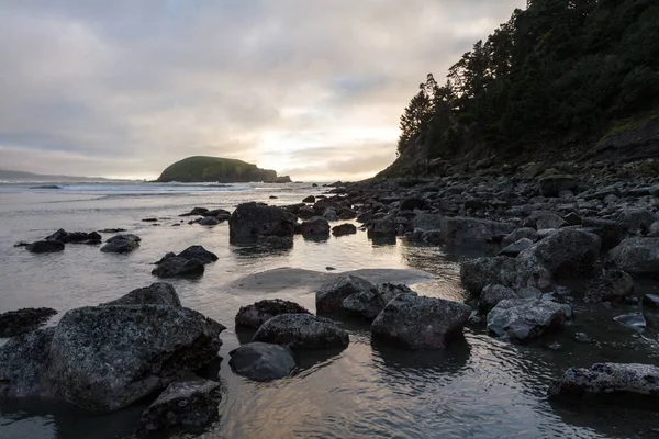 Oregon Sahilinde Karamsar Bir Öğleden Sonra Yumuşak Altın Işıkla Sislerin — Stok fotoğraf