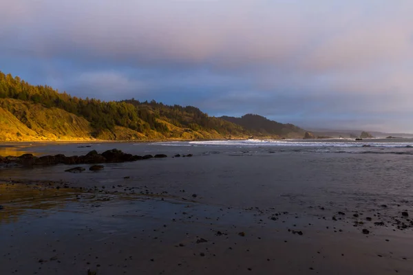 Yumuşak Öğleden Sonra Işığı Yamaçların Ağaçların Bir Kısmını Aydınlatıyor Oregon — Stok fotoğraf