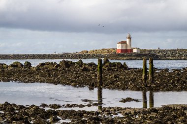Bandon Oregon 'da Coquille Nehri Deniz Feneri Bulutlu ve sisli bir günde tipik bir kışta