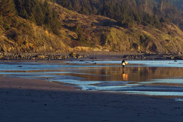 Homem Carregando Uma Prancha Surf Através Areia Nós Como Sol — Fotografia de Stock