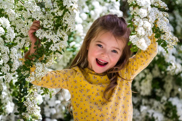 Portrét Šťastné Čtyřleté Holčičky Bílými Kvetoucími Květy — Stock fotografie