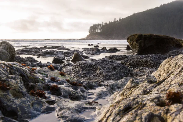 Náladové Odpoledne Pobřeží Oregonu Nízkými Mraky Trochou Světla Skalnatém Pobřeží — Stock fotografie