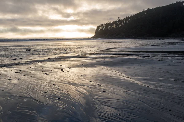 オレゴン沿岸では穏やかな午後に柔らかな黄金の光が霧の層を通して雨の砂に反射し — ストック写真
