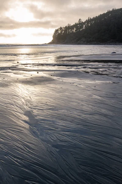 オレゴン沿岸では穏やかな午後に柔らかな黄金の光が霧の層を通して雨の砂に反射し — ストック写真