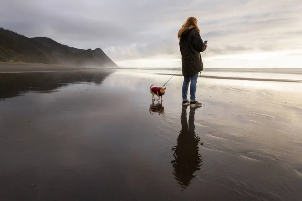 Femme Marchant Son Chihuahua Dans Sud Côte Oregon Sur Sable — Photo