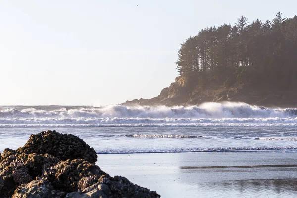 Piękny Widok Hunters Cove Południowym Wybrzeżu Oregonu Poszarpanymi Skałami Wiecznie — Zdjęcie stockowe