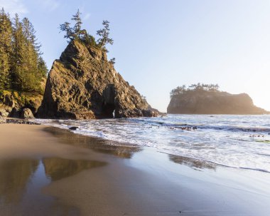 Güney Oregon sahilinde sakin bir sahil. Gizli plaj olarak bilinir. Güzel güneşli bir günde, üzerinde yeşil ağaçlar olan güzel İssletler.