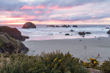 Günün sonunda plajda koyu bulutlarda biraz renk ve belirgin kaya karakteristik Face Rock State Park, Bandon Oregon