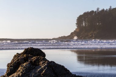 Güney Oregon sahilinde pürüzlü kayalar ve yemyeşil ağaçlarla Hunterlar Koyu 'nu güzel bir manzara oluşturuyor.