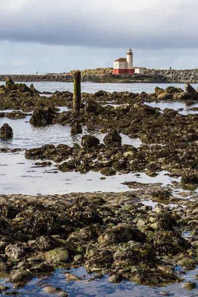 Phare Rivière Coquille Bandon Oregon Par Une Journée Nuageuse Brumeuse — Photo