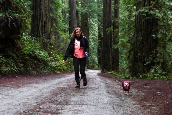 Donna Che Porta Spasso Suo Cagnolino Attraverso Una Foresta Gigante — Foto Stock