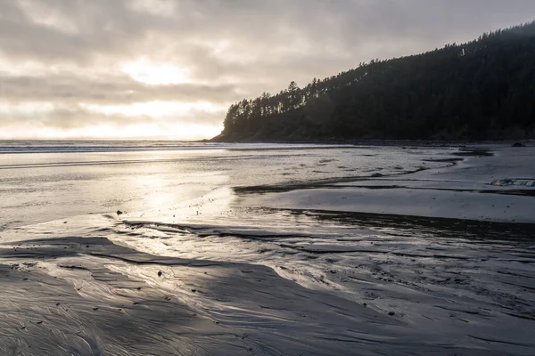 Tarde Mal Humor Costa Oregon Con Luz Dorada Suave Que —  Fotos de Stock