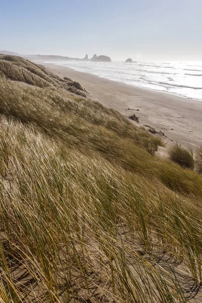 Hermoso Paisaje Las Dunas Arena Herbácea Pistol River Oregon —  Fotos de Stock