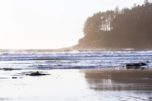 Bela Vista Formulário Caçadores Cove Sul Costa Oregon Com Rochas — Fotografia de Stock