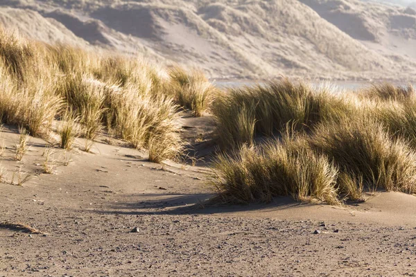 Hermoso Paisaje Las Dunas Arena Herbácea Pistol River Oregon — Foto de Stock