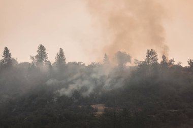 Kartal Noktası Oregon 'da 62. karayolu yakınında 9 Eylül 2020' de yangın çıktı.