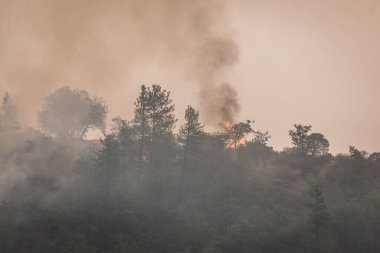 Kartal Noktası Oregon 'da 62. karayolu yakınında 9 Eylül 2020' de yangın çıktı.