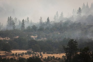 Kartal Noktası Oregon 'da 62. karayolu yakınında 9 Eylül 2020' de yangın çıktı.