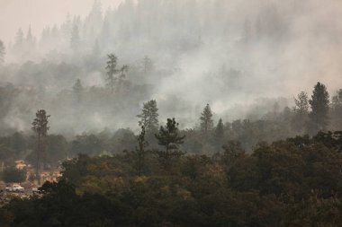 Kartal Noktası Oregon 'da 62. karayolu yakınında 9 Eylül 2020' de yangın çıktı.