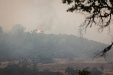 Kartal Noktası Oregon 'da 62. karayolu yakınında 9 Eylül 2020' de yangın çıktı.