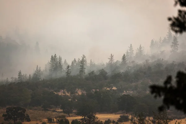 Incendies Forêt Près Route Eagle Point Oregon Septembre 2020 — Photo