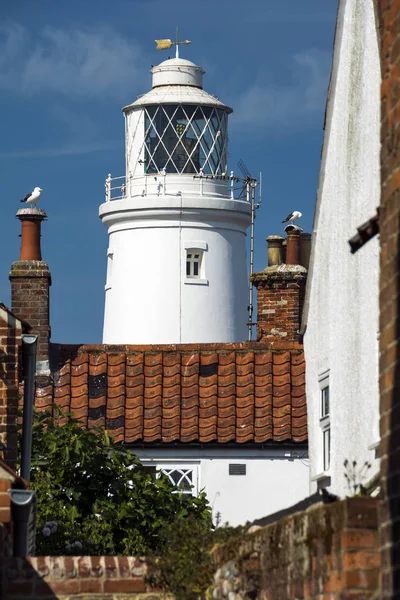 Faro Southwold Uccelli Marini Nella Località Balneare Inglese — Foto Stock