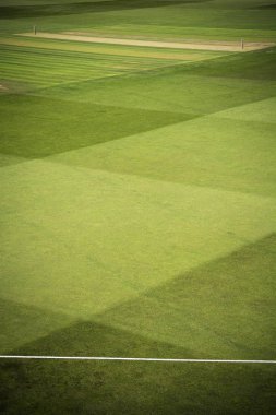 Kütükler ve sınır halatı ile Kriket sahası