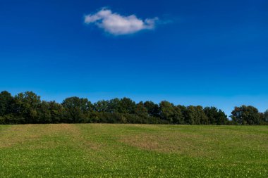 Yeşil alan mavi gökyüzü ve yalnız bulut