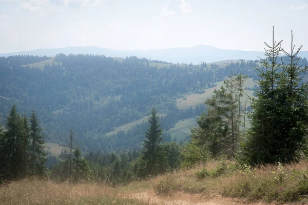 보기 아름 다운 산맥의 아름 다운 하늘 (Carpathians, 우크라이나). — 스톡 사진
