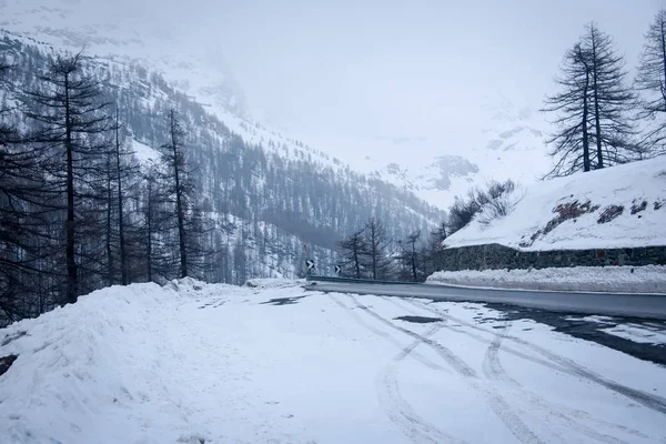 Jää liukas kaareva tie peitetty lumi ja lumiset puut ympäri  . — kuvapankkivalokuva