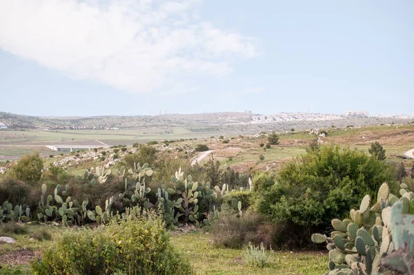 Вид на Канадский парк, также Аялон парк, который является израильским национальным парком  . — стоковое фото