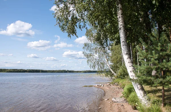 Sommer Blick auf den See Hallanlahti mit Reflexion der Wolken auf der Wasseroberfläche. Finnland . — Stockfoto