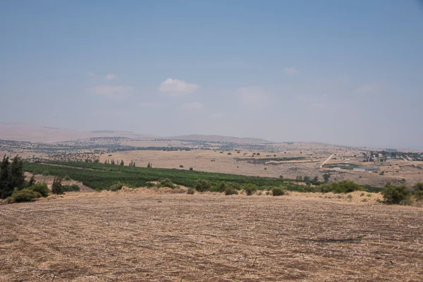 Celile dağlarının manzarası, yaz. İsrail . — Stok fotoğraf