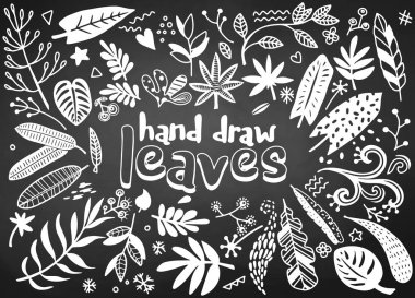 El çizimvektör vintage elemanları (defne, yaprak, çiçek