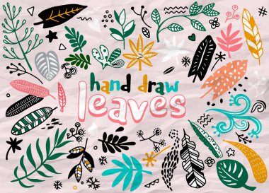 El çizimvektör vintage elemanları (defne, yaprak, çiçek