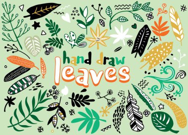 El çizimvektör vintage elemanları (defne, yaprak, çiçek