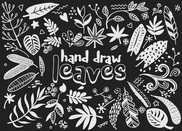 Elementos de la vendimia vectorial dibujados a mano (laureles, hojas, flores — Archivo Imágenes Vectoriales