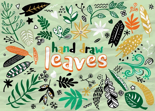 El çizimvektör vintage elemanları (defne, yaprak, çiçek