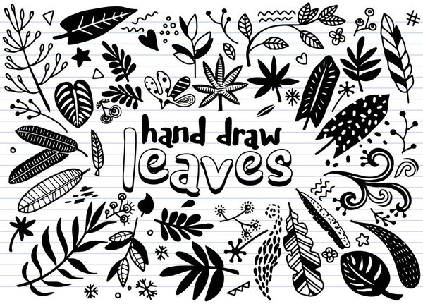 Hand sketched vector vintage elements ( laurels, leaves, flowers