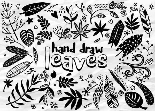 Hand sketched vector vintage elements ( laurels, leaves, flowers