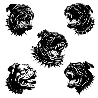 Spor takımları ve maskotlar ve illüstrasyon vektörü için uygun tehditkar bir ifadeye sahip saldırgan bir bulldog koleksiyonu. 