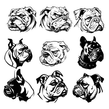 Spor takımları ve maskotlar ve illüstrasyon vektörü için uygun tehditkar bir ifadeye sahip saldırgan bir bulldog koleksiyonu. 