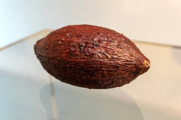 Kakaobohne Auf Dem Glastisch Kakaobohnen Und Kakaofrüchte — Stockfoto