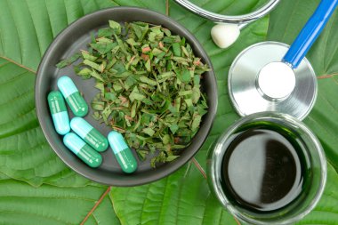 Toz ürün beyaz seramik kase ve su ile Mitragynina speciosa veya Kratom kratom yaprakları özler bırakır. Ek kratom yeşil kapsül. 