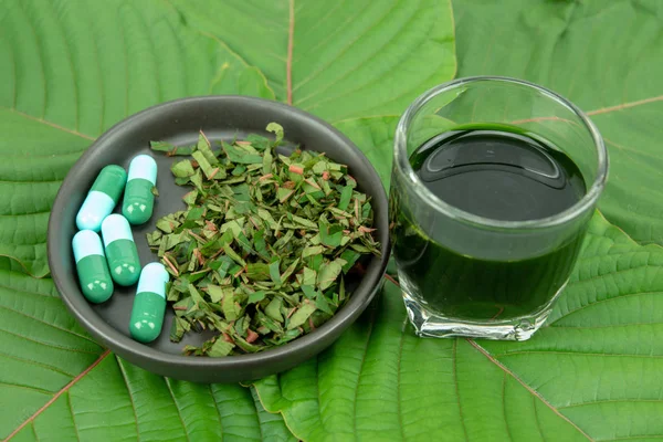 Toz ürün beyaz seramik kase ve su ile Mitragynina speciosa veya Kratom kratom yaprakları özler bırakır. Ek kratom yeşil kapsül. 