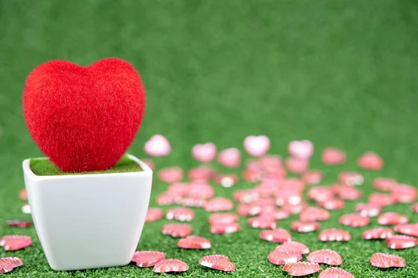 Red Heart-shaped tree. close up red Heart-shaped tree on green fresh grass , valentines day background