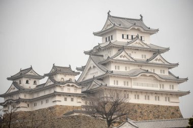 Himeji Kalesi Japonya