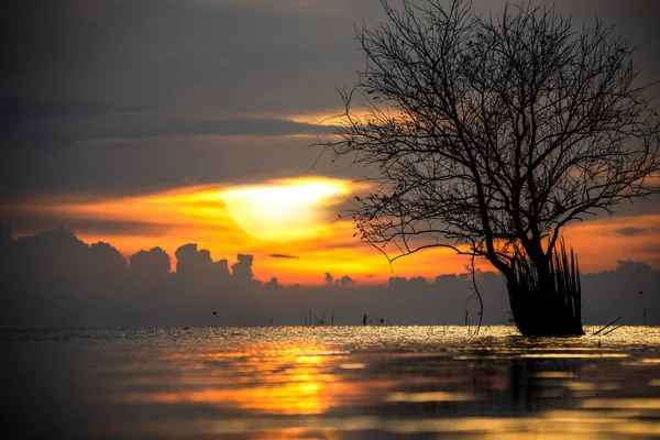 Beautiful sunrise at thailand — Stock Photo, Image